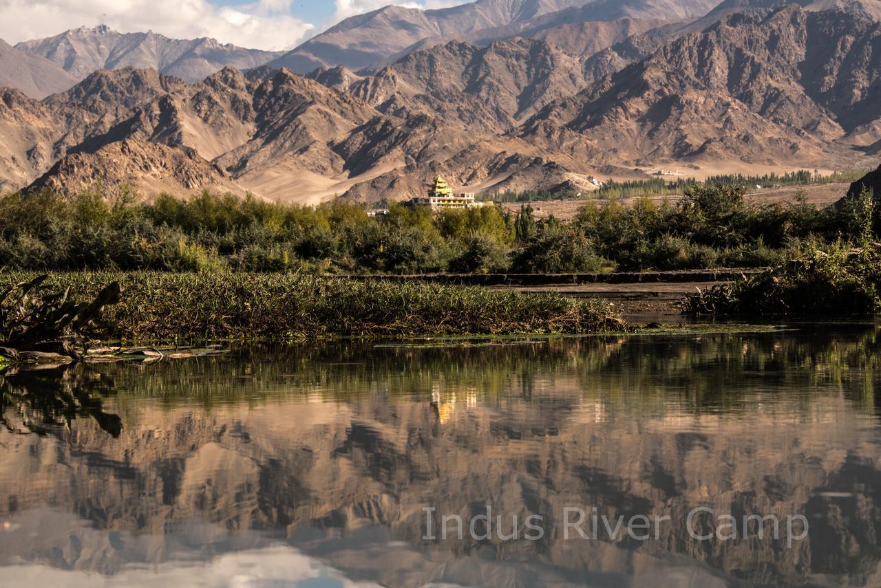 The Indus River Camp Leh Zewnętrze zdjęcie